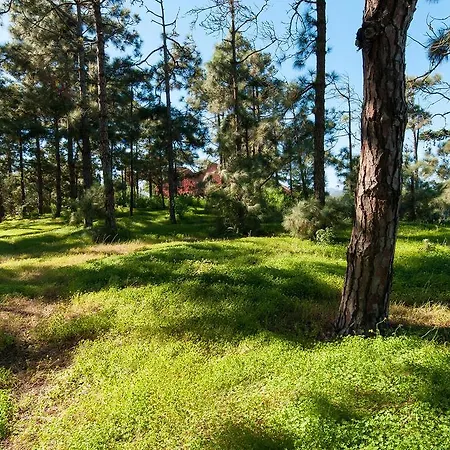 Mansion Bandama By Villagrancanaria * Tafira